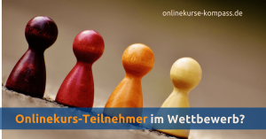 Onlinekurs Teilnehmer