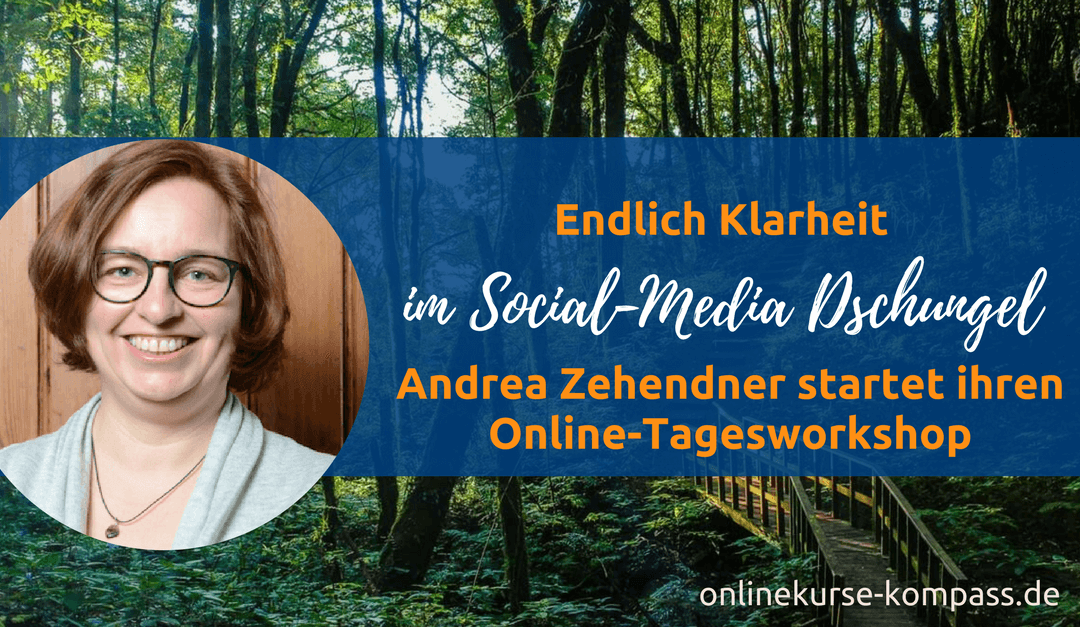 Licht im Social Media Dschungel an einem Tag